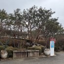 청주 스티즈커피로스터스 커피에 진심인 전문로스터 블루리본 카페
