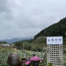 라비스타펜션민박 | 강원도 강릉 초록민박 ‘라’동 스파 독채펜션 감성숙소 내돈내산 후기