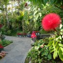 율리농장 이미지