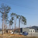 (주)상일