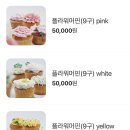 쁘띠브루밍