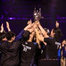 OWL e-sports 포모스