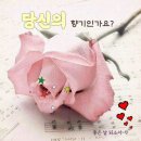 모락모락 이미지