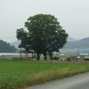 양전마을회관 이미지