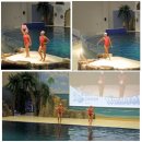 제주 아쿠아플라넷 이미지