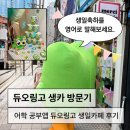 (주)아이오쓰리 | 관종새 듀오링고 생일파티, 용산에서 실물 영접하고 온 후기