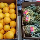 한진청과 이미지