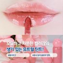 이프디어 | 데이지크 쥬시 듀이 글로우틴트 피치스킨, 폴링로즈, 디어니즈, 멀드그레이프 내돈내산 발색