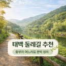 황부자 며느리 친정가는 둘레길 | 태백 황부자 며느리 친정가는 둘레길 코스 총정리 (거리·시간·난이도)