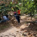 완수농장 이미지