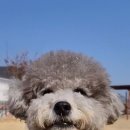 이쁘개즐겁개 이미지