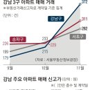 강남-179 이미지