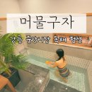 머물구자 이미지