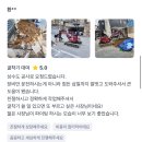 통신관로매설공사 | 덕양구 미니포크레인 배수로 정비공사 주차장 트렌치 터파기 굴착작업 후기 017~035 창릉동 흥도동 삼송동