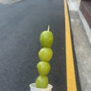 달더라과일과게 이미지