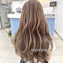 하미유(HAMIYOU) 네이버블로그