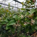 제이디피모터스 오라점 이미지