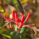 호동바닷가가든 이미지