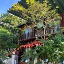 오로라 하우스(Aurora house) 이미지