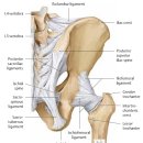 lumbo-pelvic instability and form closure, force closure에 관한 논문, 개념들 이미지