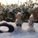 안나농원 이미지