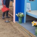 퍼피트랙 이미지