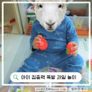 현재 발달 과정 및 소꿉놀이 학습 장난감 과일 자르기 후기
