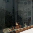 꽃집in거제 | 전주여행: 전주 감성숙소 에어비앤비 안노이에 /노트릭/ 전주현대옥