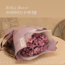 벨르제플라워