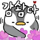 케이디닥터스 이미지
