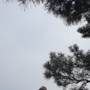 청수장 이미지