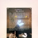 내손으로만드는세상-건강요리교실 | 역삼역 점심 맛집 추천 스노우폭스 역삼역점 초밥 식사 후기