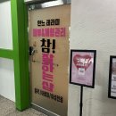 안느테라피