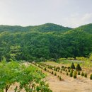 솔숲펜션 이미지