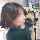 예지원 이미지