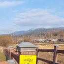 팔공산올레길 5코스 이미지