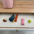 모모애견풀빌라 이미지