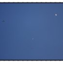 블루스카이 이미지