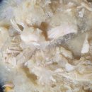 능이버섯 초계탕 | 초복,중복,말복, 보양식 ,능이 삼계탕,초계탕 밀키트 '집밥 장인'/가격/솔직후기