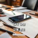 SIM테크 | SKT 유심 교체 후기 문자 수신부터 티머니 환불까지