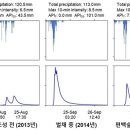 편백숲