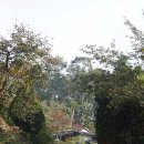 감골길앞 이미지