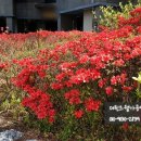 한보미용실 - 해운대구 | 한보미용실