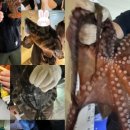 유일실내낚시터 이미지