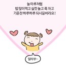 (주)사료회관 | 11월 둘째주 일상 (유기견봉사활동 후기)