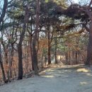 아름도담길 이미지