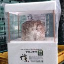 광표농장 이미지