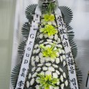 대한민국꽃배달