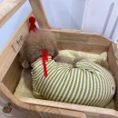 멍그레츄 이미지