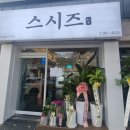 스시즈 이미지